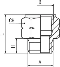 82242 · Adaptador hembra nptf - macho cilíndrico, dibujo acotado del catálogo de Aignep